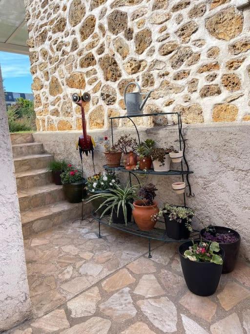 «  La Petite Maison » ....Des Grands Espaces... Saint-Maur-des-Fossés Exterior foto